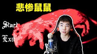 两只尾巴被绑定在一起的鼠鼠，结束了悲惨的一生  rattenkonig [upl. by Ahsaya736]