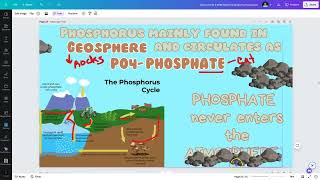 APES Unit 2 Phosphorus Cycle [upl. by Asehr]