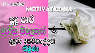 02කැතී කියන්නේ 👧 සාමාන්‍ය ගැහැනු ලමයෙක්motivational video motivation [upl. by Sayre]