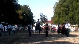 Tag des Pferdes Böheimkirchen WesCo Liners Achy Breaky mit pferd Linedance [upl. by Subir]