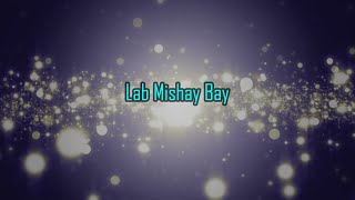 Lab Mishay Bay Dzongkha Lyrics Video Bhutanese Song [upl. by Ahker]