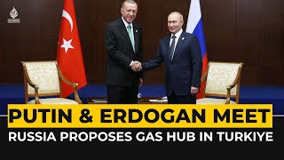 Russia proposes gas hub in Turkiye with Nord Stream supplies [upl. by Iphagenia258]