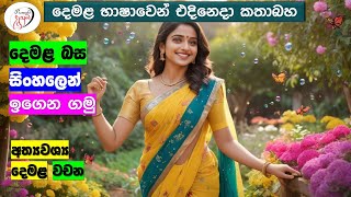 අපි දෙමළ කතා කරමු  මූලික පාඩම්  Lets Speak Tamil  Basic to Advanced Lessonsquot  Punchi Danuma [upl. by Rothstein]