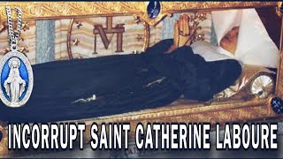 Incorrupt Body Of Catherine Laboure  THE SAINT WHO NEVER DECAYED  My Visit To See Her [upl. by Yras670]