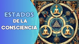 TRANSFORMA tu REALIDAD a través de los Estados de Consciencia del CEREBRO [upl. by Sadira]