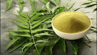 Neem powder machine  neem leaf powder  neem ka powder kaise banaye  gajanand industries [upl. by Rika775]