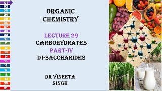 Exploring the World of Disaccharides Structure Function and Importance [upl. by Ahsed]