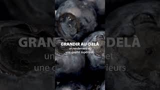 Vous et Rivulis  Plus forts ensemble ⁠ Myrtilles et Supertif [upl. by Anatak]