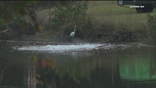 Rockdale sheriff sends letter to businesses saying they must stay inside due to high chlorine levels [upl. by Rodina]