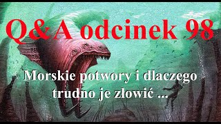 QampA odcinek 98  Morskie potwory z Florydy i dlaczego trudno je złowić [upl. by Lune]