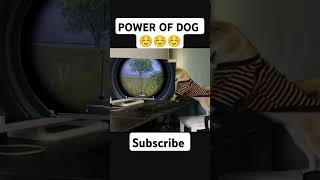 Pubg dog powershortsviralvideo [upl. by Atikahs]