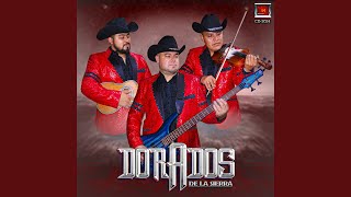 Corrido Compa Goyo [upl. by Noned]