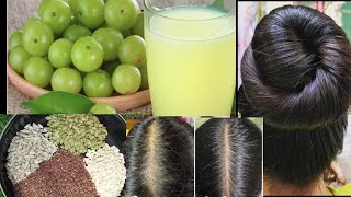 अब होगे तेजी से बाल लंबे की हैरान हो How to seed for Hair growthHow to Amla powder make at Home [upl. by Sonitnatsok]