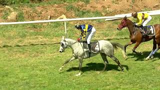 BRILLIANT LADY wins The Rahys Serenade Handicap Div2 [upl. by Vowel208]