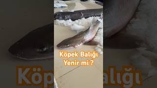 Köpek Balığı Yenir mi köpekbalığı shark food [upl. by Ayahc]