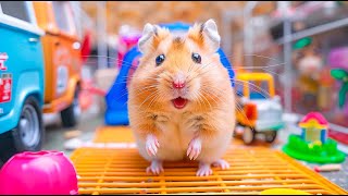 Race Against Time 🐾 Hamster Escapes Pursuers in the Giant Maze 🐹 Hamster Maze [upl. by Cila]