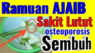 Mujarab Obat Tradisional Sakit Lutut dan Untuk mencegah Osteoporosis dengan Rebusan Ajaib ini [upl. by Tower285]