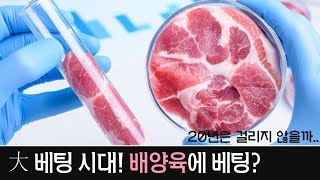 비욘드미트 시가총액 4조 200 폭등한 대체 육류 스타트업의 의미 [upl. by Attenahs]