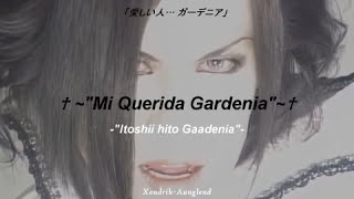 Malice Mizer  Gardenia ガーデニア  Español  Japonés  Video HD [upl. by Anividul231]