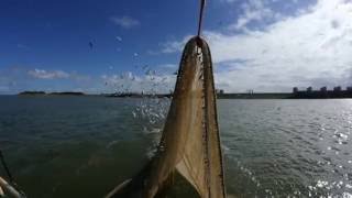 Dagje Waddenzee met Jan Rotgans [upl. by Adnulahs]