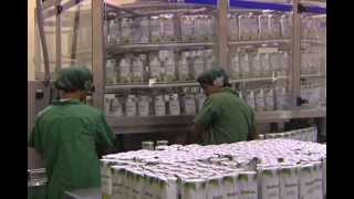 Visit to the Peter Paul Philippines Corporations PPPC Coco Water Plant 03112013 [upl. by Sisxela]