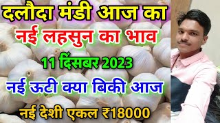 दलौदा मंडी नई ऊटी लहसुन का भाव 11 दिसंबर 2023 new ooty garlic rate today nai lahsun ka bhav [upl. by Henderson]