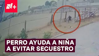 Niña escapó de presuntos secuestradores con la ayuda de un perro  N [upl. by Lawlor]