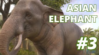 Hunting animals in Burma ep3 animals herasChannel [upl. by Adam588]