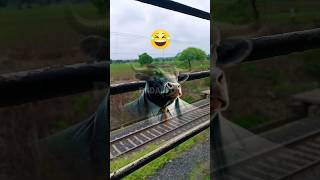 how to travel by train  funny trevel shorts reelsvideo  फनी शोर्ट्स विडियो  PADAJI ON [upl. by Janey]