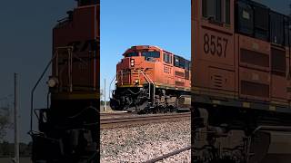 BNSF SD70ACe leads heavy BNSF Grain train bnsftrains bnsfrailway bnsf [upl. by Lyrret]