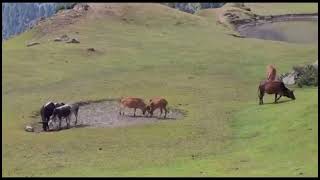 NEEL FARI LAKE AZAD KASHMIR BEAUTIFUL MOST BEAUTIFUL LAKE my MINI VOLGE [upl. by Eldred]