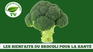 LES BIENFAITS DU BROCOLI POUR LA SANTÉ [upl. by Itsa]