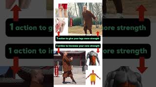 Lower Body Core Strength Training health traditionalkungfu martialarts [upl. by Gunter]