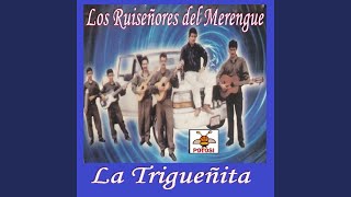 A Cantautores del Merengue [upl. by Mansoor]