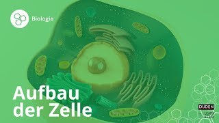 Aufbau der Zelle Bio leicht gemacht – Biologie  Duden Learnattack [upl. by Solitta443]