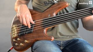 Sandberg Panther Special 5 Fretless [upl. by Ennovi]