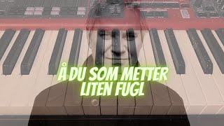 Å du som metter liten fugl [upl. by Tingey]