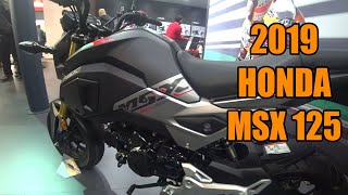 2019 HONDA MSX125 [upl. by Demp690]