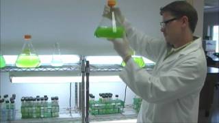 Biofuels from Algae Project  Brunswick Community College Center for Aquaculture amp Biotechnology [upl. by Dimmick]