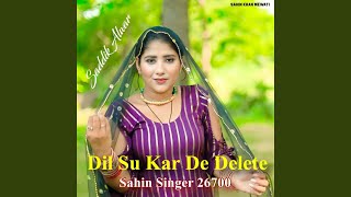 Dil Su Kar De Delete Sahin Singer 26700 [upl. by Neysa]