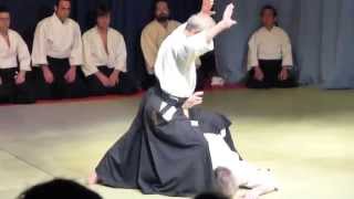 Daitoryu Aikijujutsu Takumakai Helsinki 2015 Koryu Embutaikai Part 67 [upl. by Damara88]