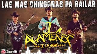 Los Alameños de La Sierra  Las Mas Chingonas Pa Bailar  100 Cumbias Sierreñas [upl. by Aelanna]