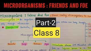 Microorganisms friend and foe class 8  Microorganisms friend and foe chapter 2 class 8 [upl. by Aiceila]