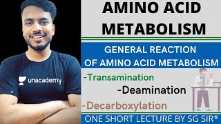 amino acid metabolism biochemistry  general reaction of amino acid metabolism  transamination [upl. by Collin]