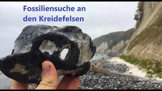 Die Kreidefelsen auf Rügen  Fossilien suchen an der Ostsee 5 [upl. by Spiers]