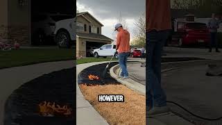 Why Did This Man Burn His Lawn 🔥🌱 You Will Be Surprised Why 😲 [upl. by Henghold849]