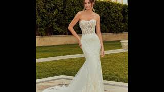 MORI LEE MASSIVE COLLECTION 20242025 [upl. by Reisman]