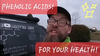 Are there phenolic acids in your mushrooms misterjeff foryourhealth [upl. by Heathcote406]