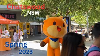 Chatswood NSW spring 2023 tp Chatswood Australia [upl. by Reinhard]