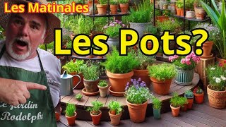 Bien Positionner Ses Plantes en Pot  Lumière Arrosage et Esthétique [upl. by Burnley]